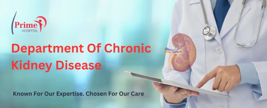 Best Chronic Kidney Disease Treatment In Panipat​