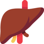 liver_508798