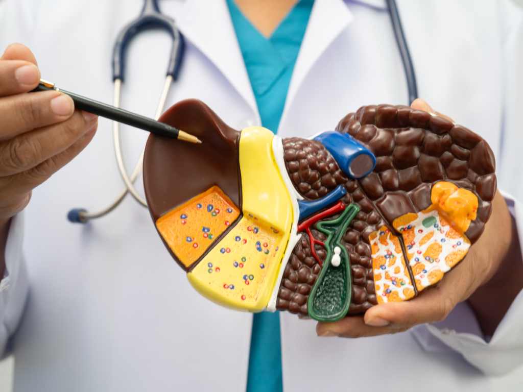 Liver specialist in Panipat